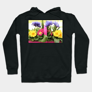 Colourful Spring Flowers Hoodie